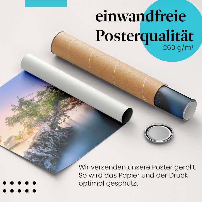 Gerolltes Poster "Baum am See". Ruhe & Natur, sicher verpackt.