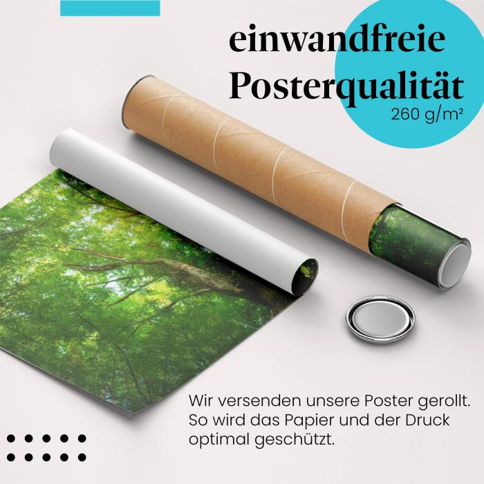 Gerolltes Poster "Eiche". Majestätischer Baum, sicher verpackt.