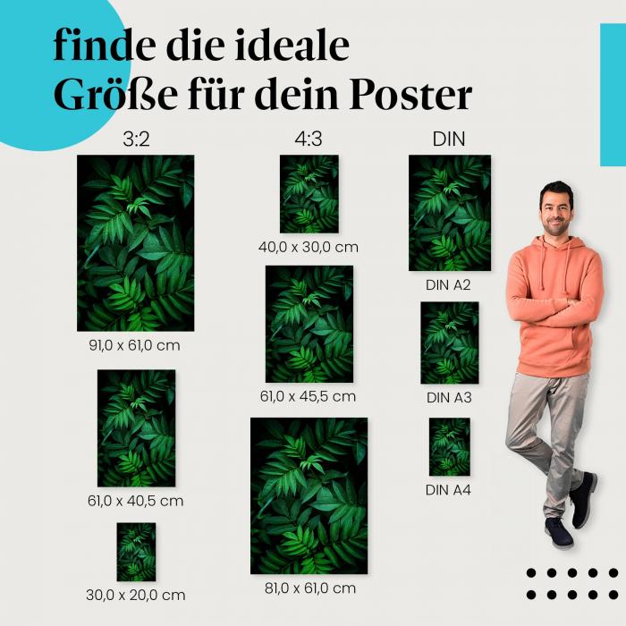 Entdecke die passende Postergröße: Wald, dunkelgrüne Blätter, mystische Atmosphäre.