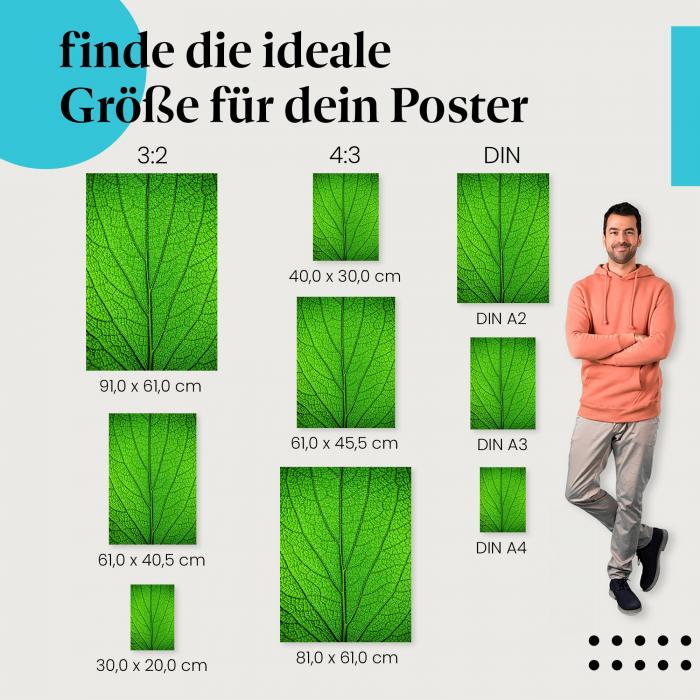 "Lebensader Natur": Poster mit detailreicher Makroaufnahme eines Blattes