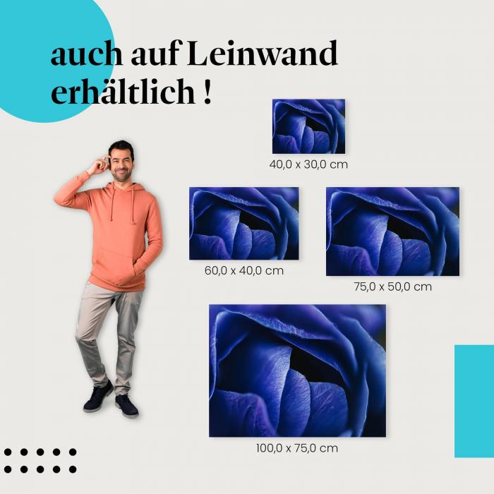 Blaue Blüte: Leinwandbild. Nahaufnahme, Textur.