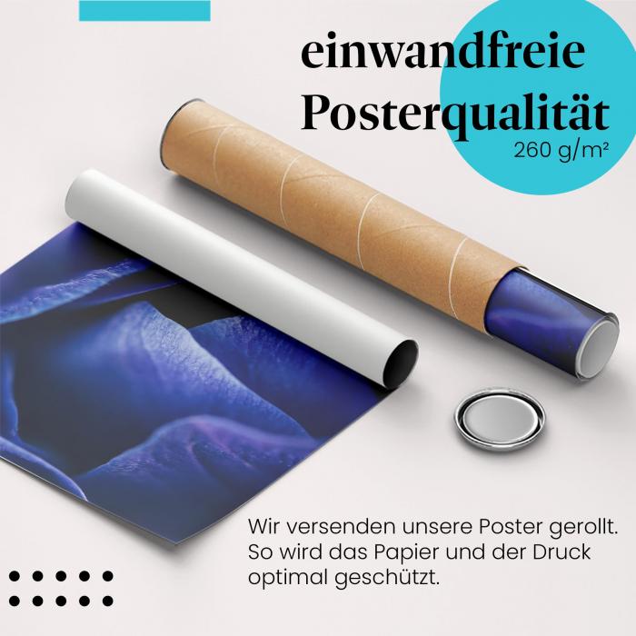 Gerolltes Poster "Blaue Blüte" - Blütenzauber, sicher verpackt.