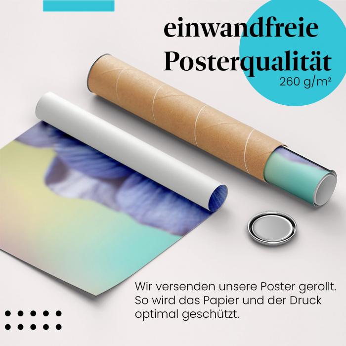 Gerolltes Poster "Blaue Blume" - Blütenzauber, sicher verpackt.