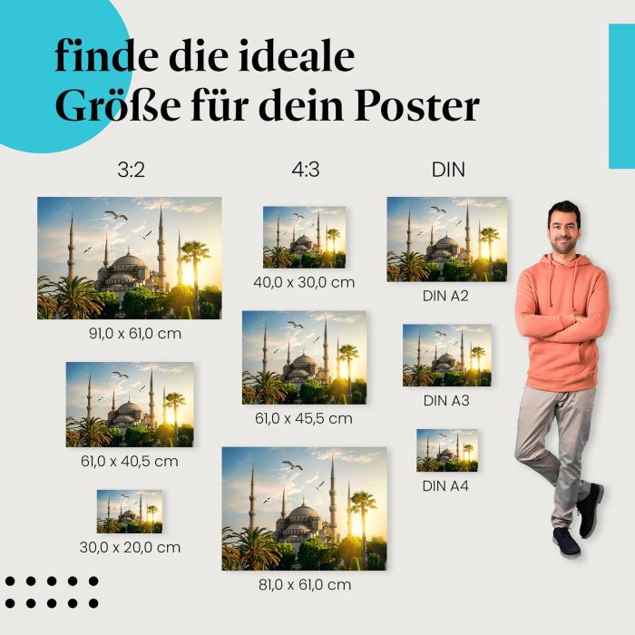 Wähle die ideale Postergröße: Blaue Moschee in Istanbul, Sonnenuntergang, Palmen, Möwen.