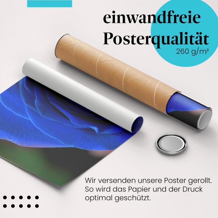 Gerolltes Poster "Blaue Rose" - Eleganz & Schönheit, sicher verpackt.