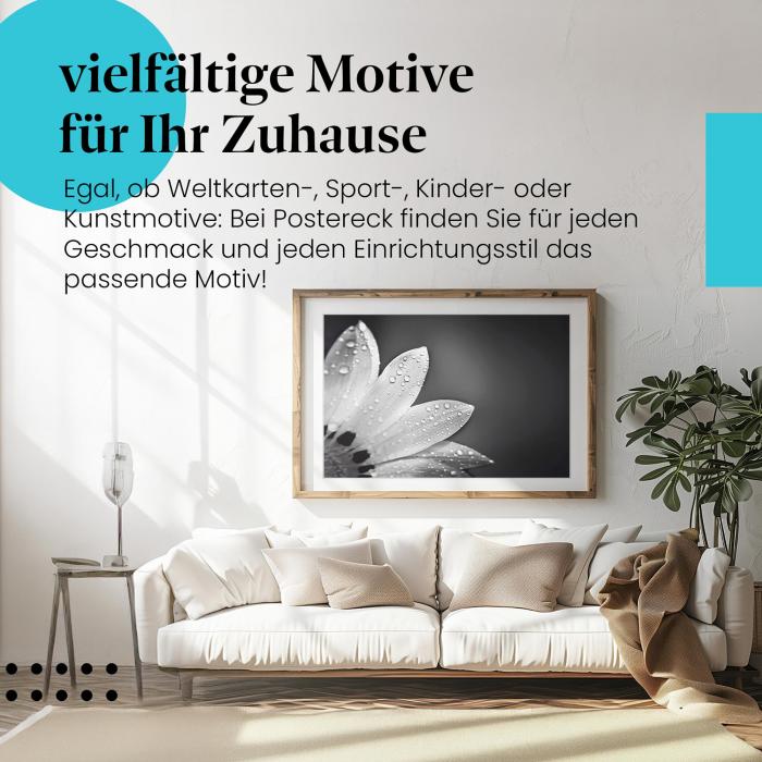 Dieses Leinwandbild mit der Blume und den Regentropfen ist ein Hingucker und zeigt die Schönheit der Natur in Schwarz-Weiß.