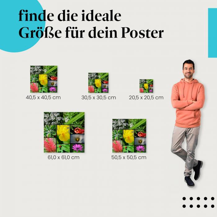 Wähle die ideale Postergröße: Collage mit Nahaufnahmen von Blumen, Tropfen und Marienkäfer im Garten.