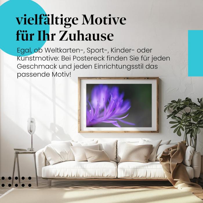 Leinwandbild "Lila Blume": Makroaufnahme - intensive Farben & zarte Struktur.