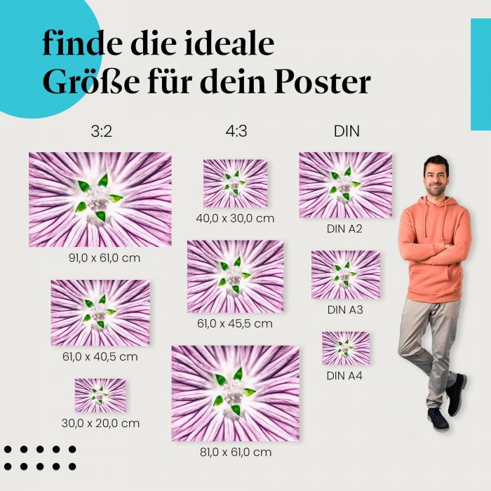 "Blütentraum": Poster mit lila Blüte - Nahaufnahme & faszinierende Farben