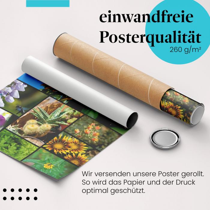 Gerolltes Poster "Blumen & Insekten". Natur & Schönheit, sicher verpackt.