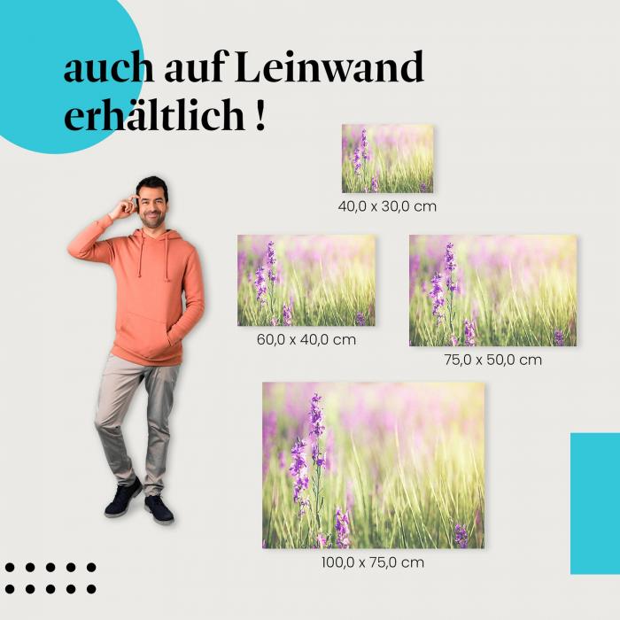 Lila Blüten: Leinwandbild. Wiese, Sonnenlicht, wähle deine Größe!