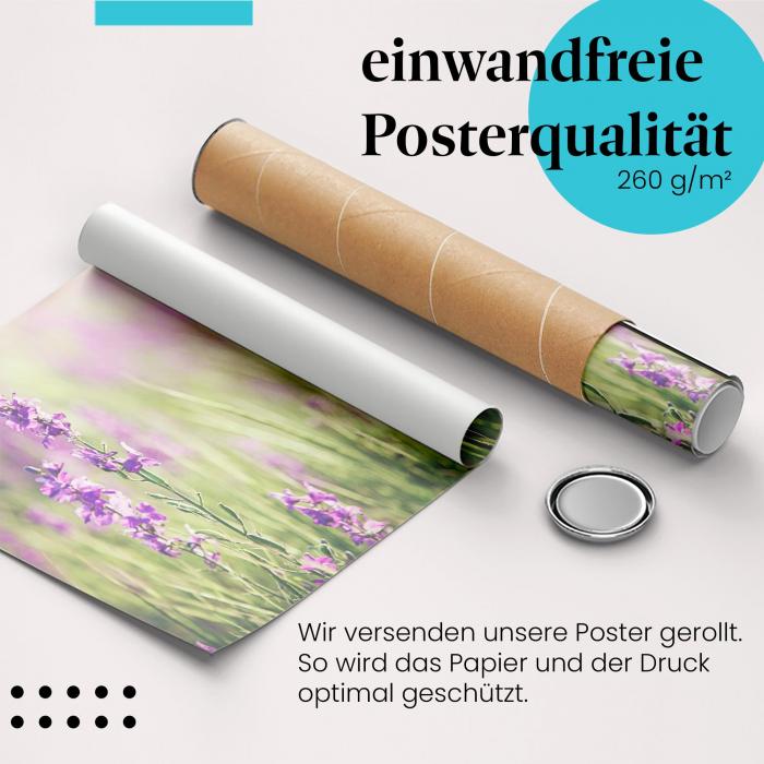 Gerolltes Poster "Blütenwiese". Frühlingshafte Natur, sicher verpackt.