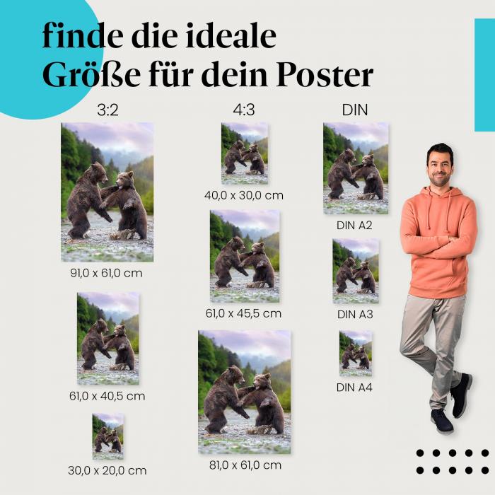 Finde die ideale Postergröße: Braunbären, Kampf, Wildnis, Stärke.