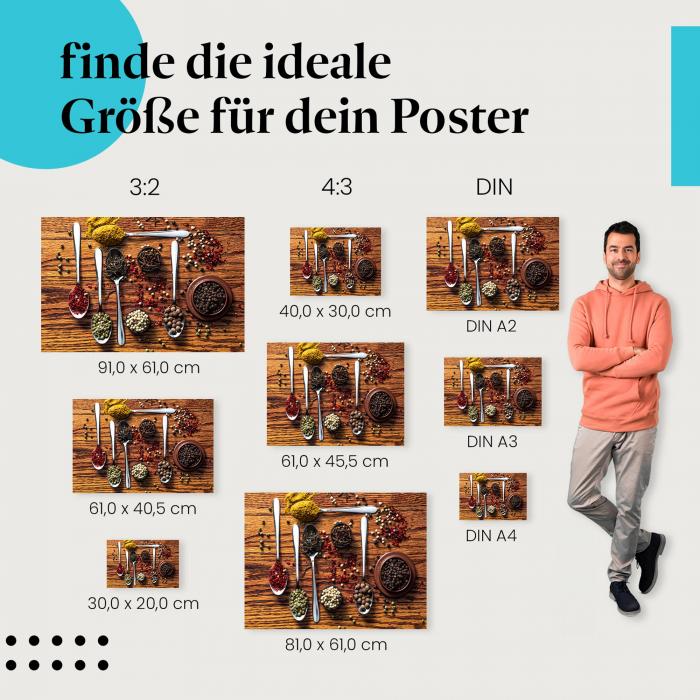 Bunte Gewürze in Löffeln Poster: Kulinarik - jetzt Postergröße wählen!