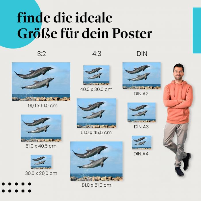 Delfine Poster: Maritime Tierwelt - Poster in verschiedenen Größen.