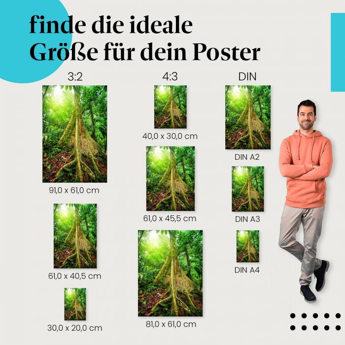 "Im Dschungel": Poster mit mystischem Licht & mächtigen Wurzeln