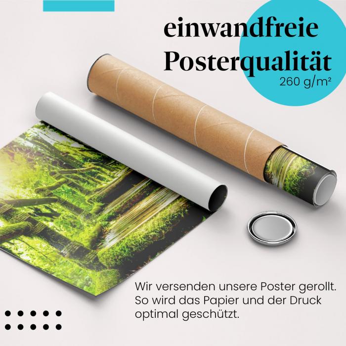 Gerolltes Poster "Regenwaldpfad". Dschungelabenteuer, sicher verpackt.