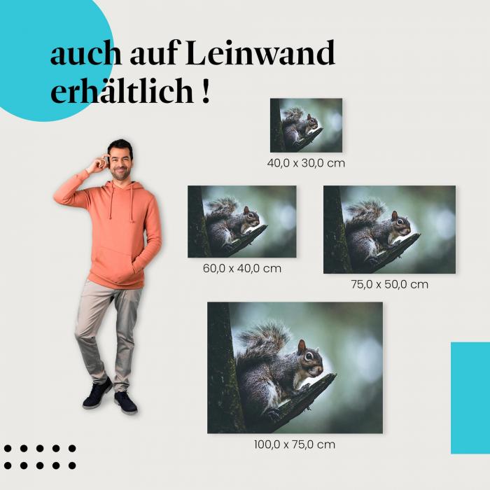 Eichhörnchen: Leinwandbild. Grau, Ast, buschiger Schwanz. Wähle deine Größe!