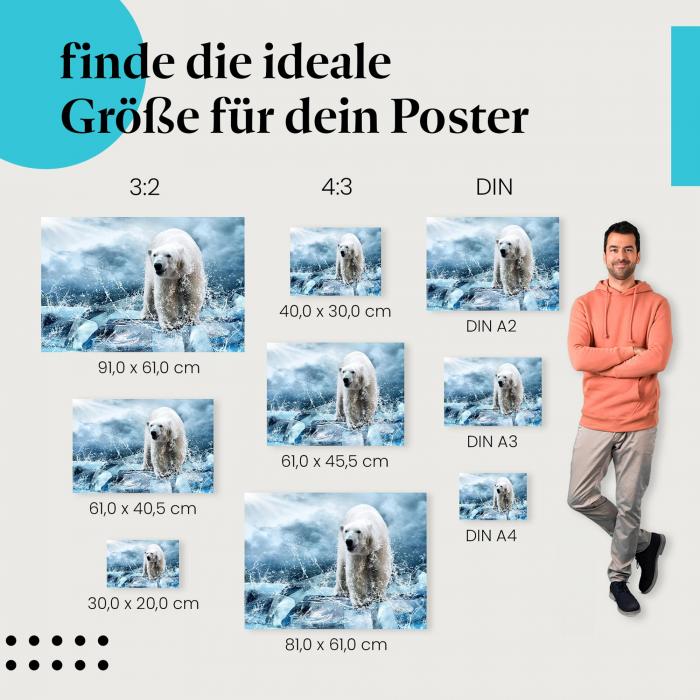 Eisbär Poster: Arktische Tierwelt - Poster in verschiedenen Größen.