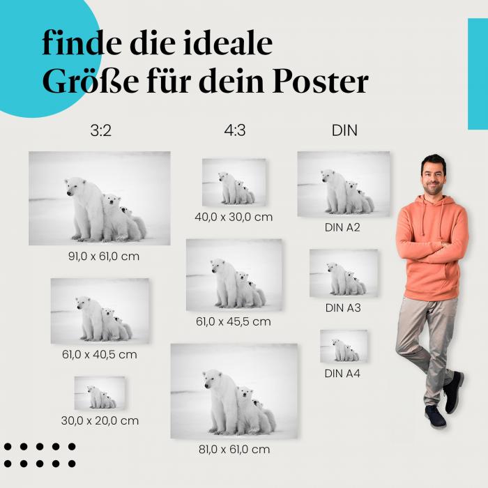 Eisbärfamilie Poster: Arktische Tierwelt - Poster in verschiedenen Größen.