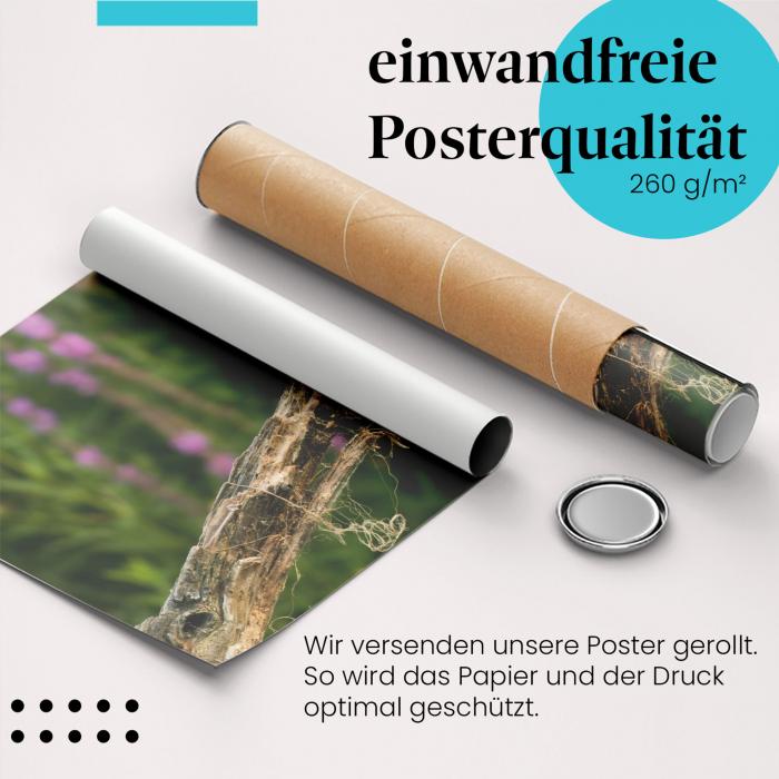 Gerolltes Poster "Eisvogel & Blüten". Farbenfrohe Tierwelt, sicher verpackt.