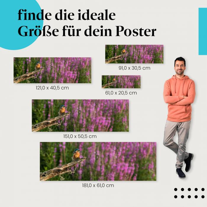 Finde die perfekte Postergröße! Eisvogel, Blüten, blau, orange.