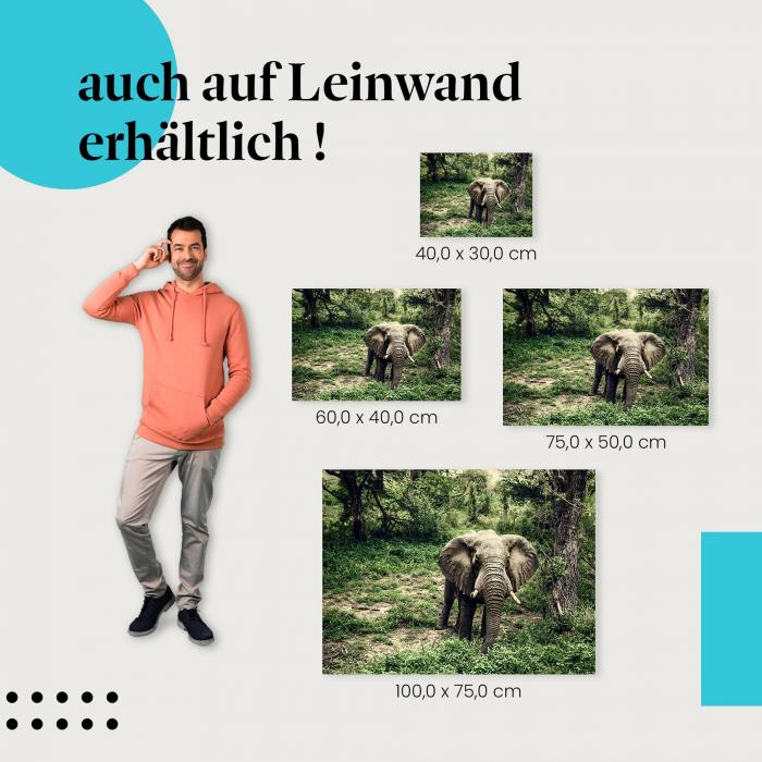 Leinwandbild "Majestätischer Elefant": Stärke & Ruhe der Wildnis