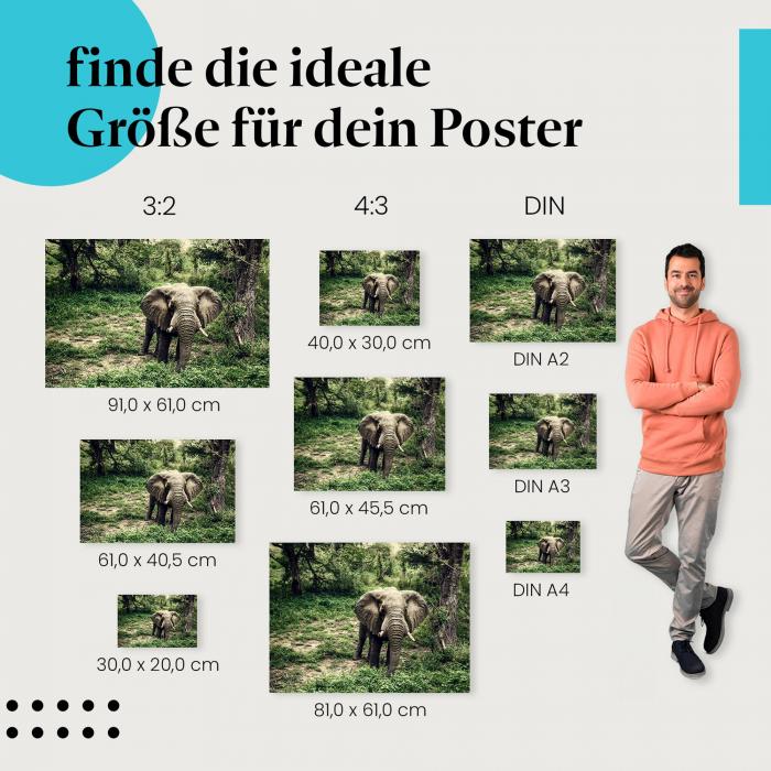 "Majestätischer Elefant": Poster - Elefant bahnt sich Weg durch den Wald