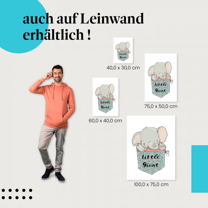 Elefant: Leinwandbild. "Little Giant", niedlich.