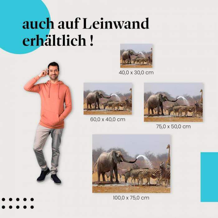 "Elefant & Zebras" Leinwand. Verschiedene Größen - setze Akzente in deinem Zuhause!