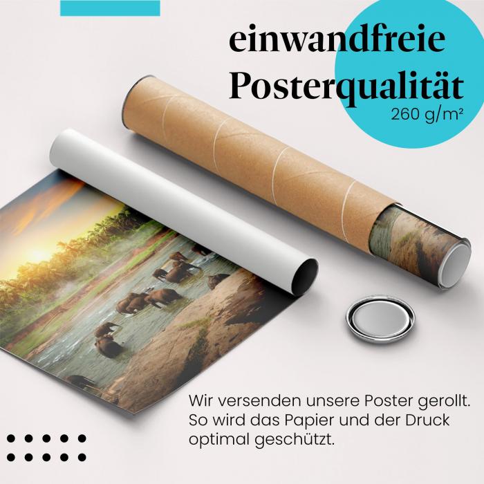 Gerolltes Poster "Elefantenbad" - Tierische Erfrischung, sicher verpackt.