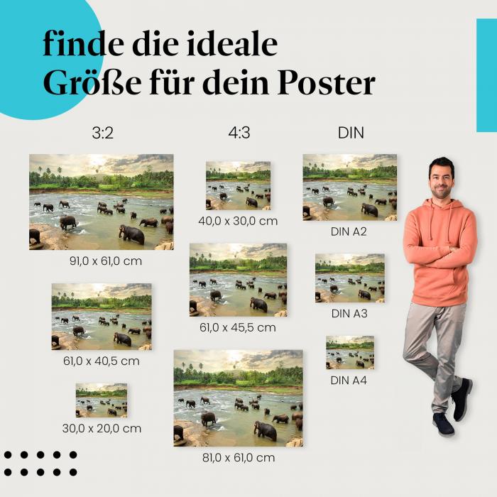 Finde die ideale Postergröße: Elefantenherde durchquert Fluss, tropische Landschaft.