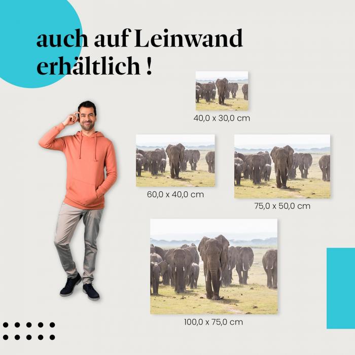 Elefantenherde: Leinwandbild. Savanne, wähle deine Größe!