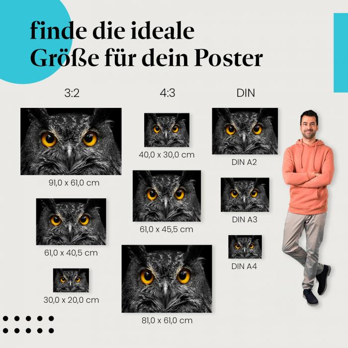 Wähle die ideale Postergröße: Eine Eule mit durchdringendem Blick und leuchtend gelben Augen - die Faszination der Tierwelt für dein Zuhause.