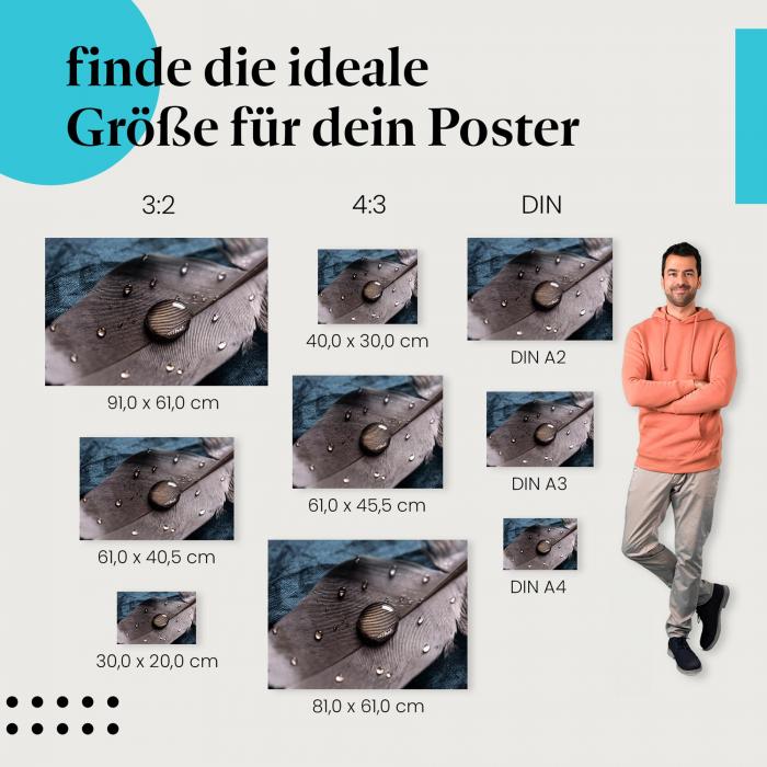 Wähle die ideale Postergröße: Makroaufnahme von Wassertropfen auf einer Feder - die Schönheit der Natur im Detail.