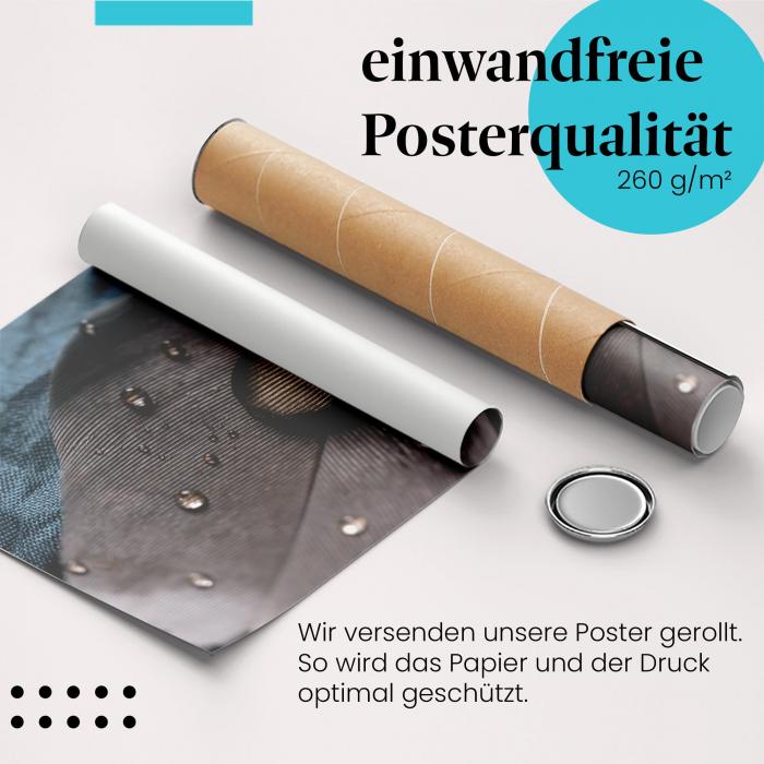 Gerolltes Poster "Wassertropfen". Kunstvolle Wassertropfen, sicher verpackt.