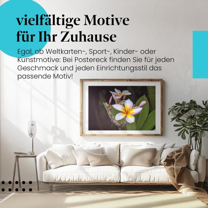 Stylisches Leinwandbild: Exotische Schönheit - Frangipaniblüte mit Tautropfen.