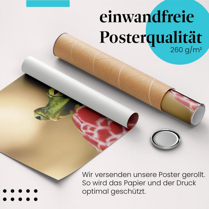 Gerolltes Poster "Frosch & Blüte". Natur & Farben, sicher verpackt.