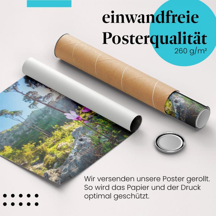 Gerolltes Poster "Frühlingswald". Natur & Erwachen, sicher verpackt.