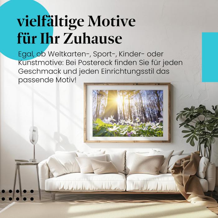 Leinwandbild Weiße Blüten: Frühlingsgefühle für Zuhause!