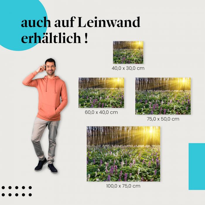 Leinwandbild "Frühlingswald": Blütezeit & Landschaft