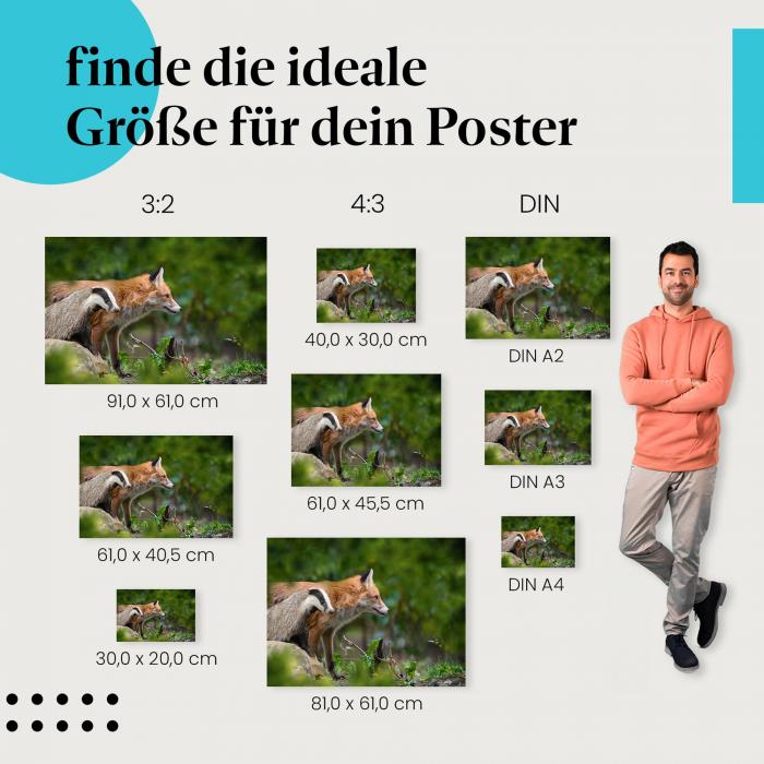 Fuchs & Dachs, Poster: Wald, friedlich.