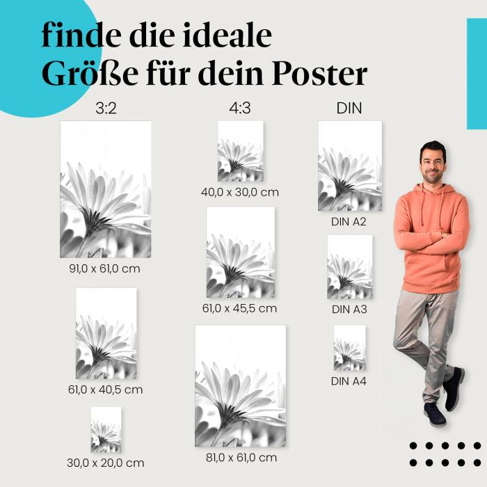 "Gänseblümchen in Schwarzweiß": Poster - Blumenfotografie & Kontrast