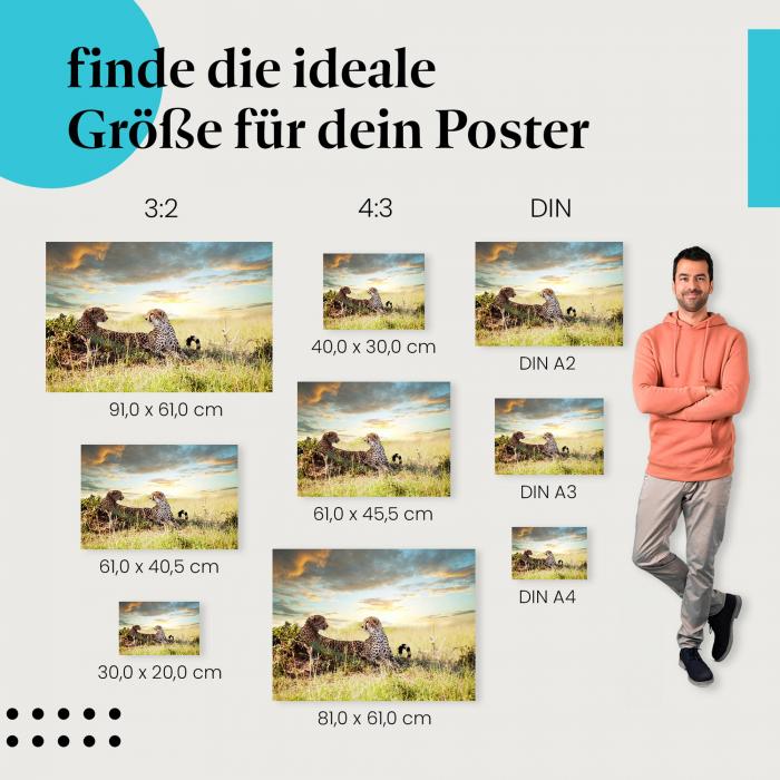 Gepardenpaar in der Savanne: Tierposter - jetzt bestellen!