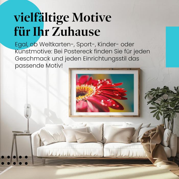 Leinwandbild "Gerbera": Makroaufnahme, funkelnde Regentropfen - faszinierend!