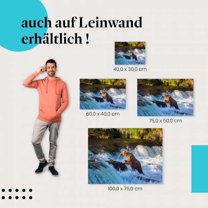 "Grizzlybär fängt Lachs" Leinwandbild. Finde die ideale Größe für dein Zuhause & setze Akzente mit Kunst!