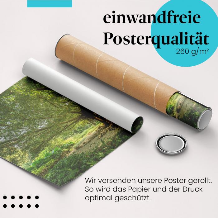 Gerolltes Poster "Baum" - Natur & Besinnung, sicher verpackt.