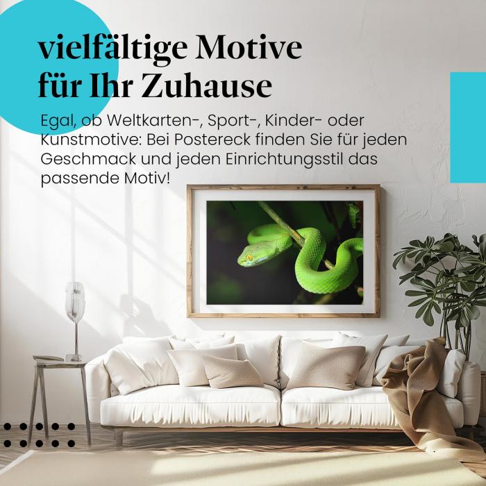 Dieses Leinwandbild ist ein Hingucker für alle, die exotische Tiere lieben.