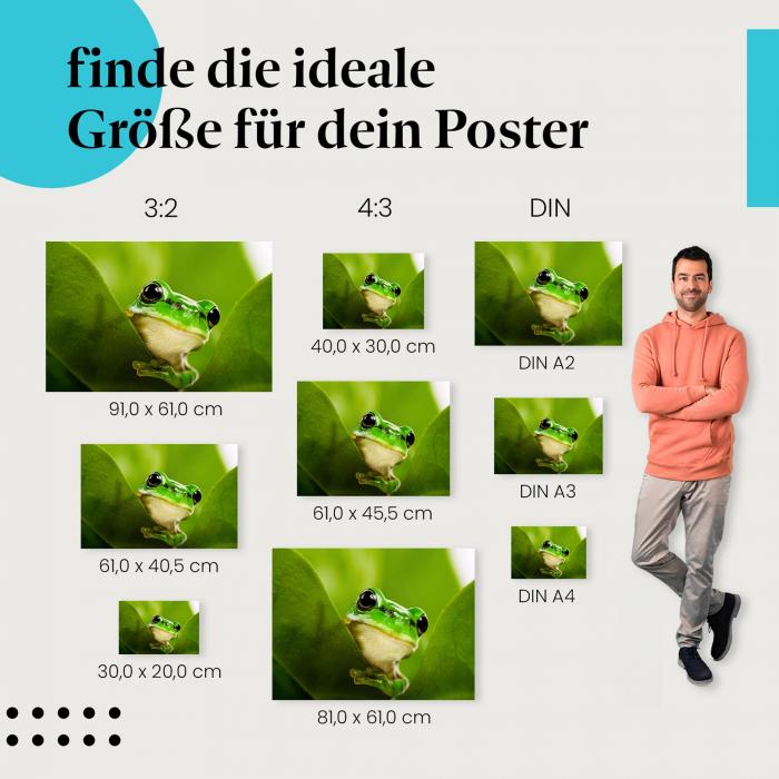 Frosch im Blättermeer Poster: Naturfotografie - finde die perfekte Größe!