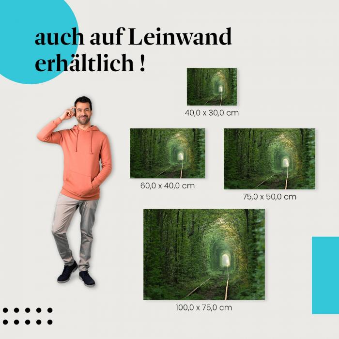 "Grüner Tunnel der Liebe" Leinwandbild. Finde die ideale Größe für dein Zuhause & setze Akzente mit Kunst!